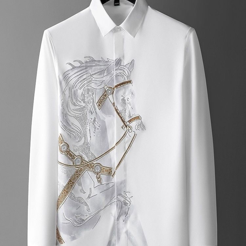 남성용 드레스 화이트 셔츠 긴 소매 비철 주름 방지 탑 - Dress Shirt Non-Iron 리뷰 및 가격
