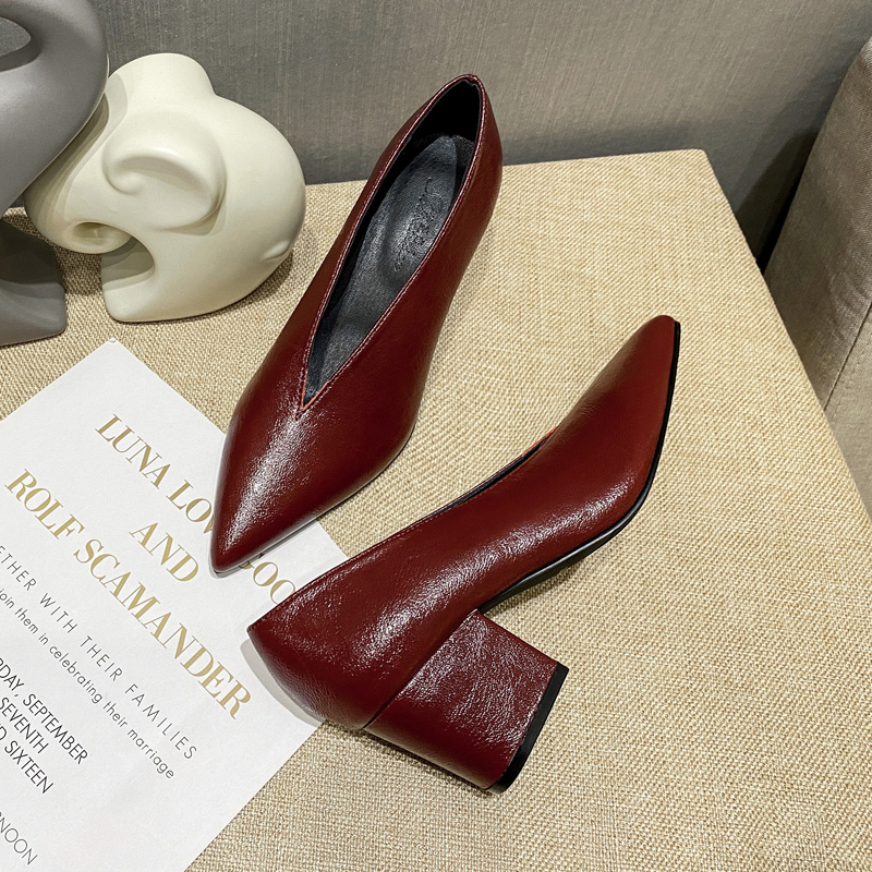 여성 신발 2026 봄 신발 뾰족한 앞코 청키 하이힐  - Mens Fashion Dress Shoes 리뷰 및 가격